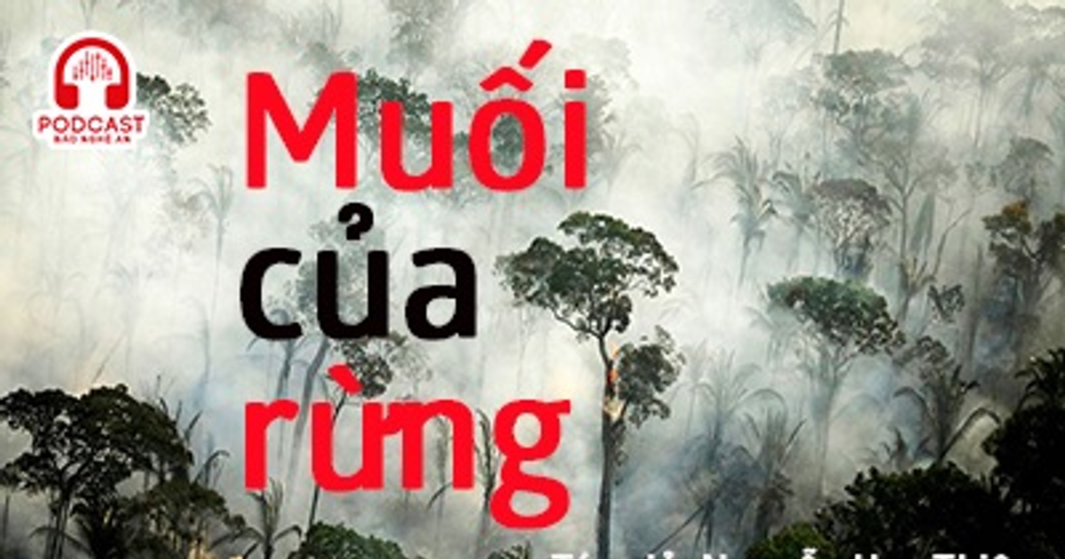 Banner cho bài viết:ĐỌC TRUYỆN NGẮN  MUỐI CỦA RỪNG - NGUYỄN HUY THIỆP