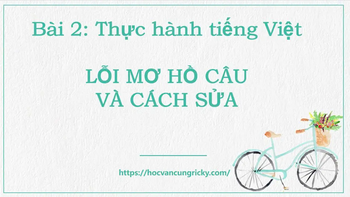 Bài giảng bài 2: Thực hành tiếng Việt Lỗi mơ hồ câu và cách sửa - Ngữ văn 12 chân trời sáng tạo