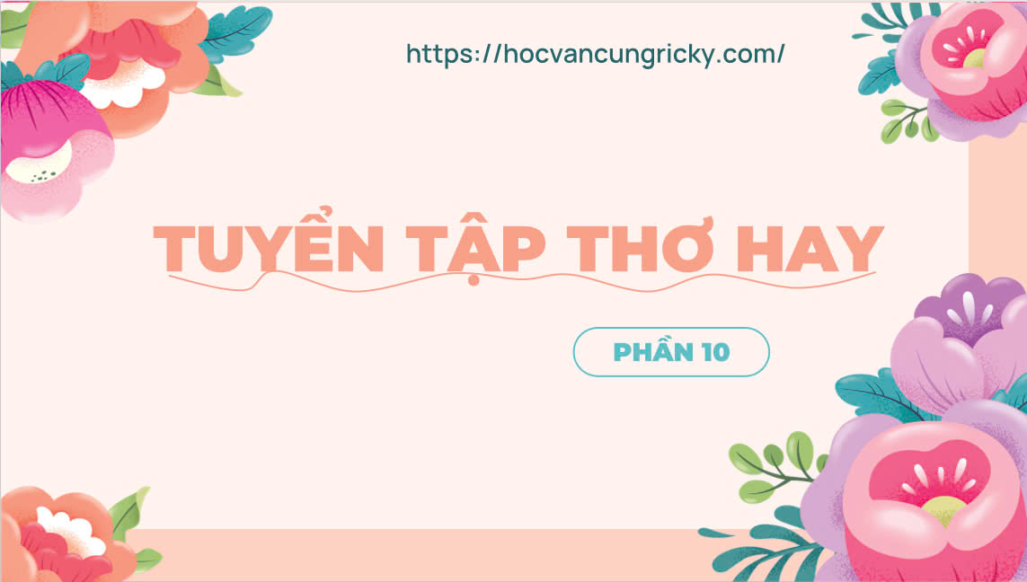 Banner cho bài viết:BÀI THƠ BÌNH MINH - TRẦN NHẬT MINH