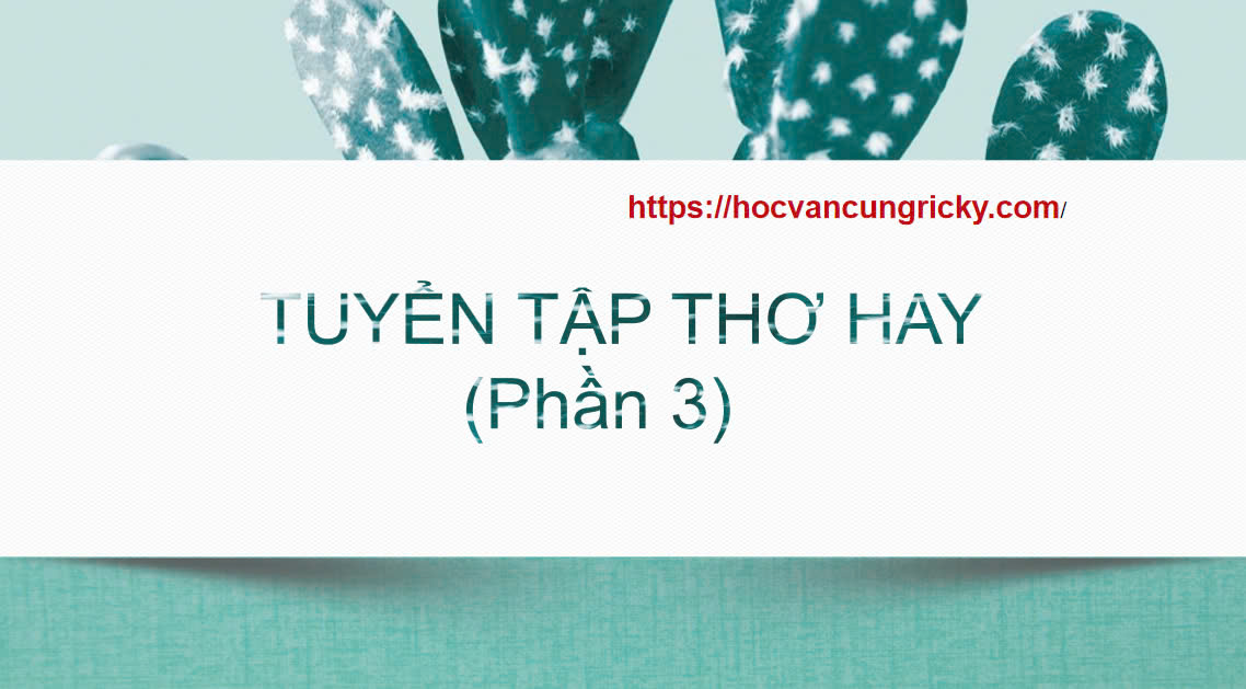 Banner cho bài viết:TUYỂN TẬP THƠ HAY PHẦN 3 - NGƯỜI DỆT TẦM GAI CỦA VI THÙY LINH