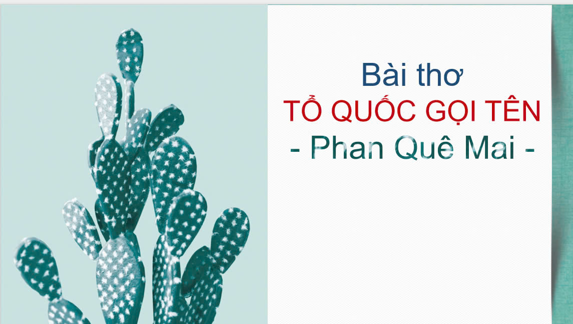 Banner cho bài viết:ĐỌC BÀI THƠ TỔ QUỐC GỌI TÊN CỦA PHAN QUẾ MAI