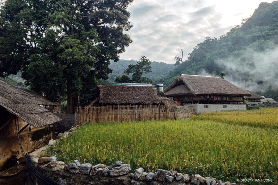 Banner cho bài viết:ĐỌC HIỂU BÀI THƠ CHIỀU THU -  NGUYỄN BÍNH