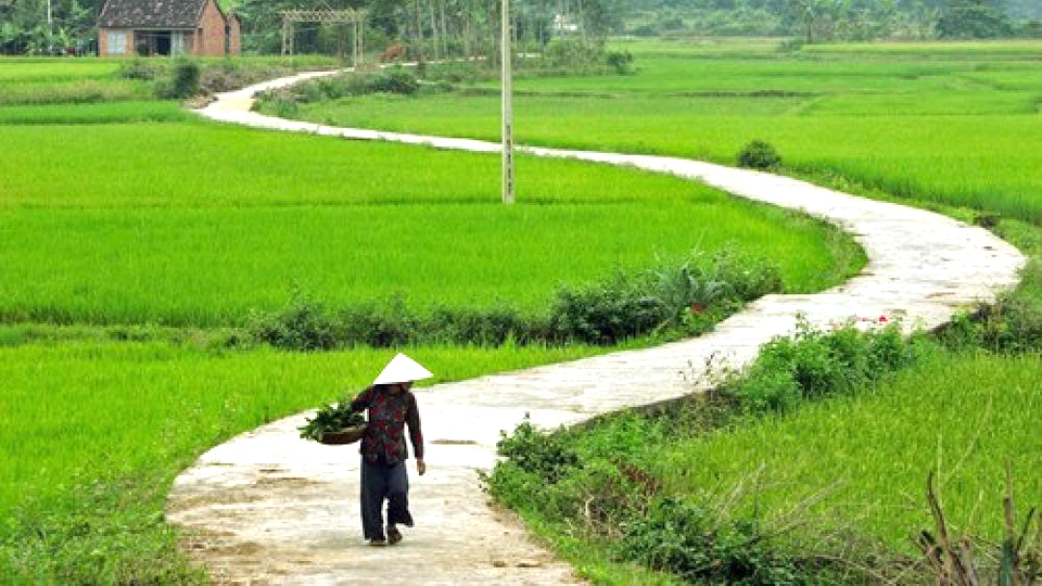 Banner cho bài viết:ĐỌC HIỂU BÀI THƠ ĐƯỜNG VỀ QUÊ MẸ - ĐOÀN VĂN CỪ