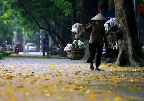 Banner cho bài viết:ĐỀ THI NGỮ VĂN 11 HỌC KÌ 2 NĂM 2024 - NHỮNG NGÔI SAO HÌNH QUANG GÁNH