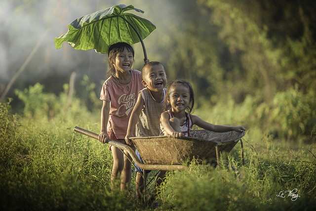 Banner cho bài viết:ĐỀ ĐỌC HIỂU BÀI THƠ TUỔI THƠ ƠI - THU TẠ