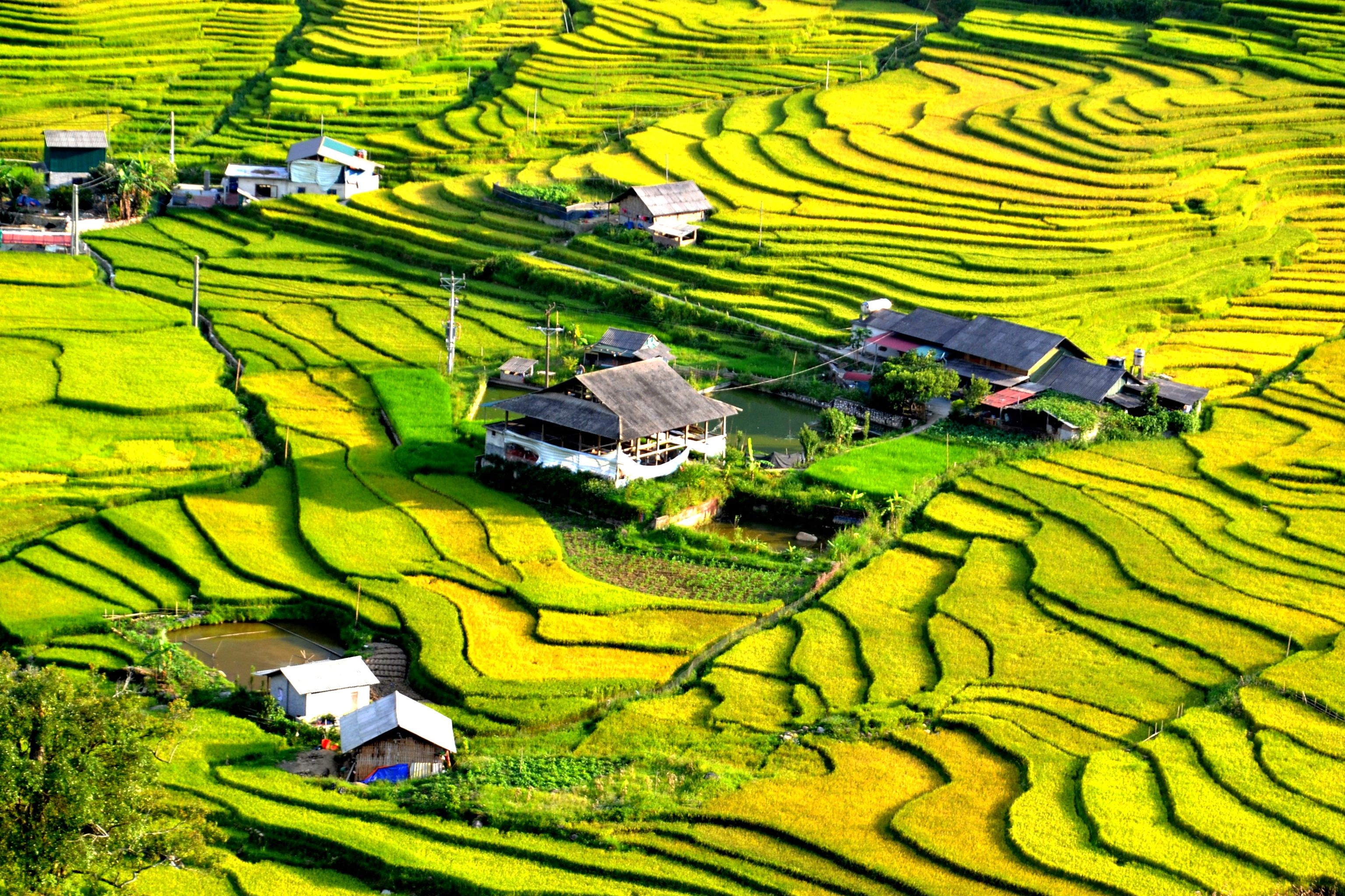 Banner cho bài viết:ĐỌC HIỂU BÀI THƠ NHỮNG CÁNH ĐỒNG MÙA THU  CỦA BÌNH NGUYÊN TRANG