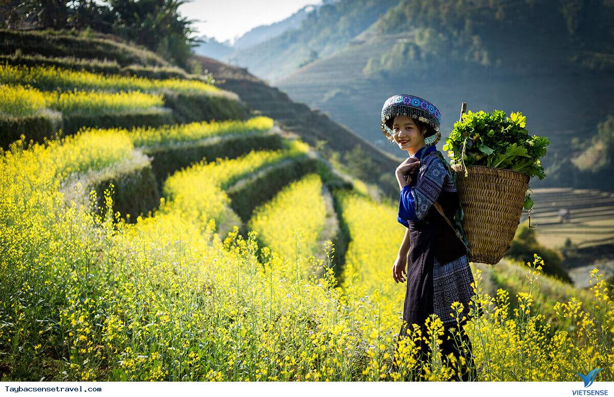 Banner cho bài viết:ĐỌC HIỂU TẢN VĂN MÙA ĐÔNG TRÊN VÙNG CAO - NGUYỄN PHƯƠNG ĐÔNG