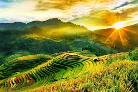 Bộ đề ôn luyện đọc hiểu thơ chương trình mới