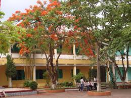 Đọc hiểu bài thơ Trường xưa của Bình Nguyên Trang - Đề ôn thi tuyển sinh 10 môn Ngữ Văn 2026