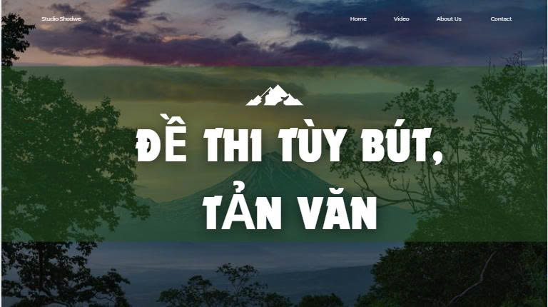 Bộ đề thi giữa kì đọc hiểu tùy bút, tản văn 2025