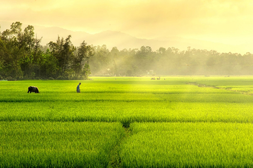 Banner cho bài viết:ĐỌC HIỂU BÀI THƠ XUÂN VỀ - NGUYỄN BÍNH